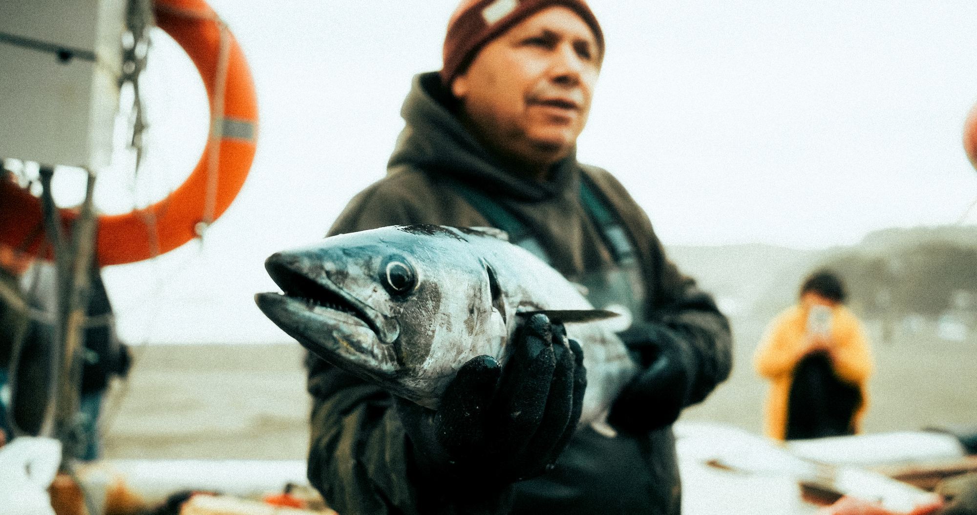 Fisherman holding fish on boat Chile